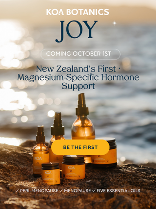 Nourish & Support Through Menopause