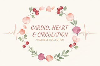 Cardio Heart Circulation