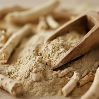 Close-up of organic Ashwagandha root powder with dried Ashwagandha roots and a wooden scoop"