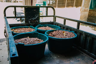 Foundry Chocolate – Kilombero Valley, Tanzania, 70% Dark Chocolate, 70g