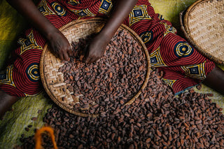 Foundry Chocolate – Kilombero Valley, Tanzania, 70% Dark Chocolate, 70g