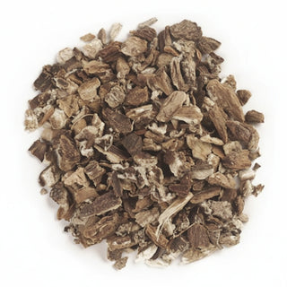 Dried mushrooms on a white background