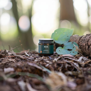 Koa Kawakawa Soothing Balm jar displayed among native kawakawa leaves in a New Zealand forest