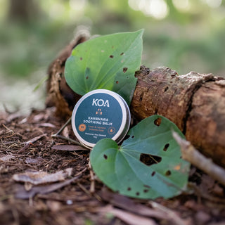 A round tin of KOA Kawakawa Soothing Balm resting on a log outdoors, surrounded by green leaves and forest mulch.